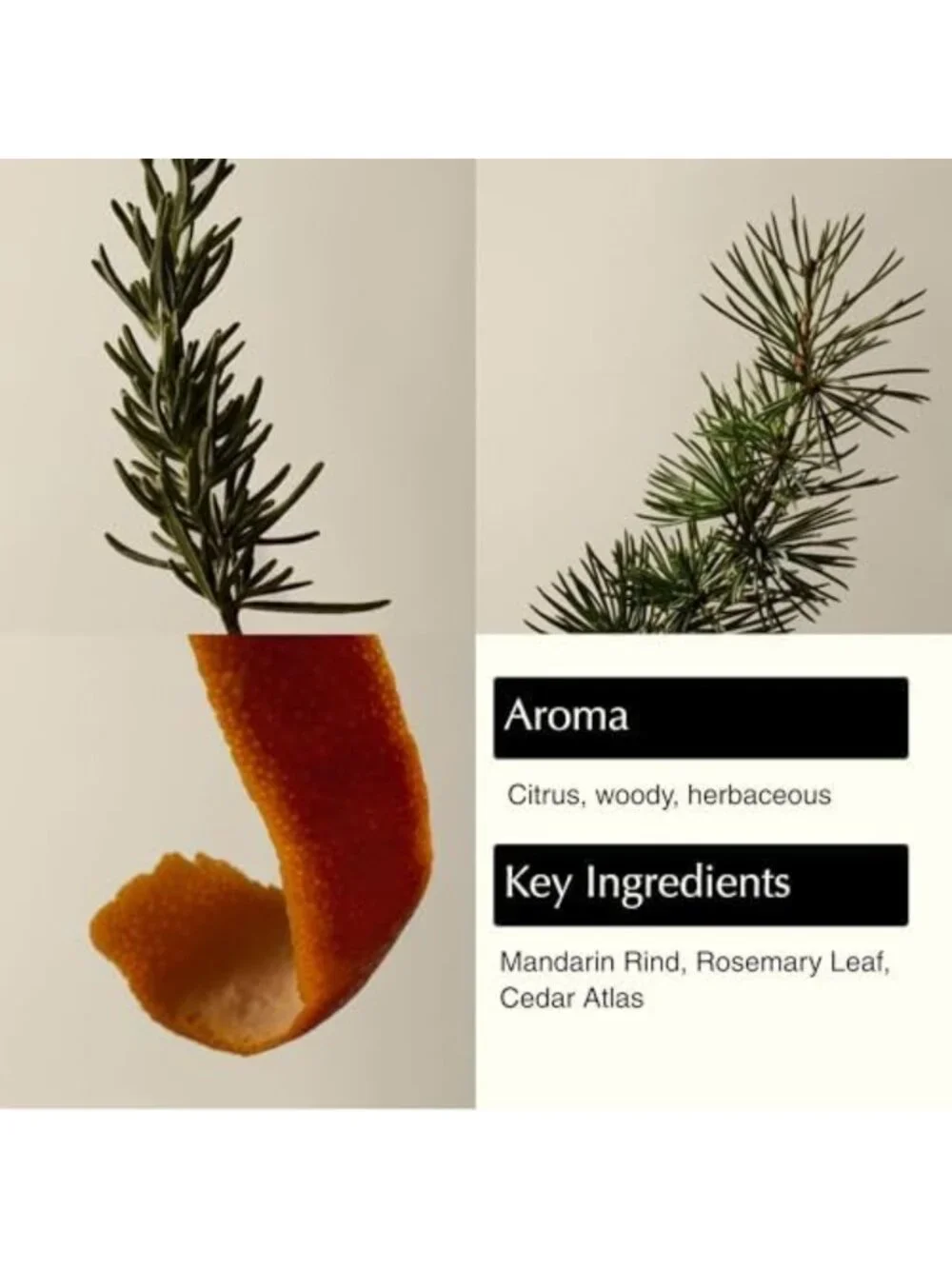 Hydrating Hand Wash | Gentle Non-Drying Soap with Mandarin, Rosemary & Lavender